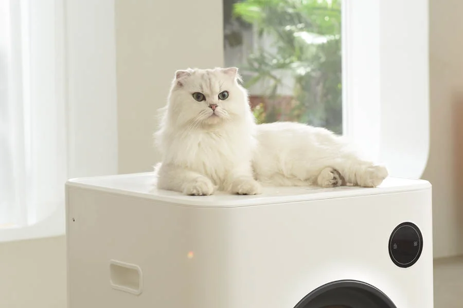 cleaning litter box